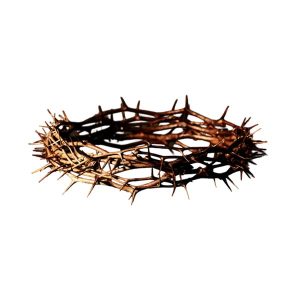 Crown of Thorns